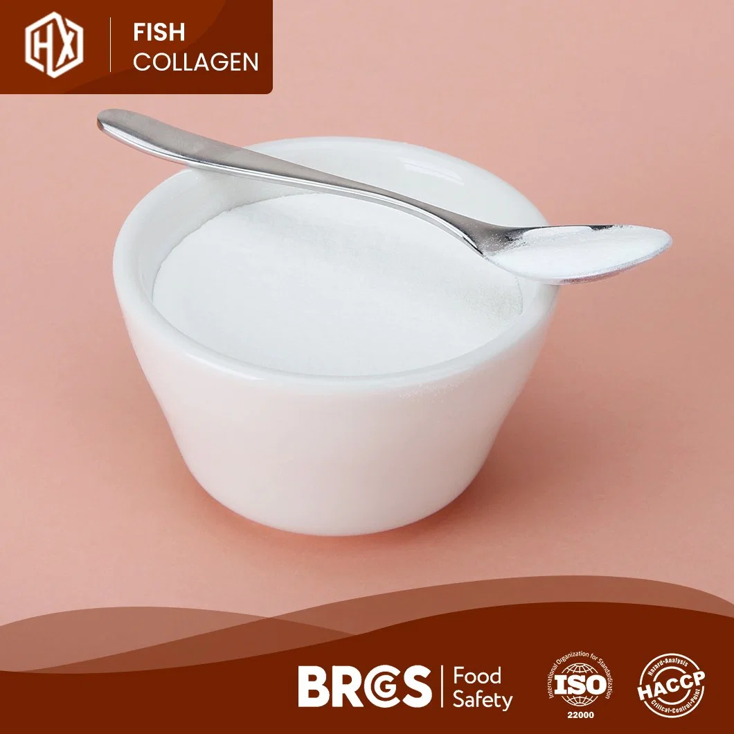 Haoxiang OEM Custom Tilapia Scales Collagen Peptides Drink Skin Whitening Hydrolyzed Marine Collagen Oral Liquid White or Pale Yellow Premium Protein Powder