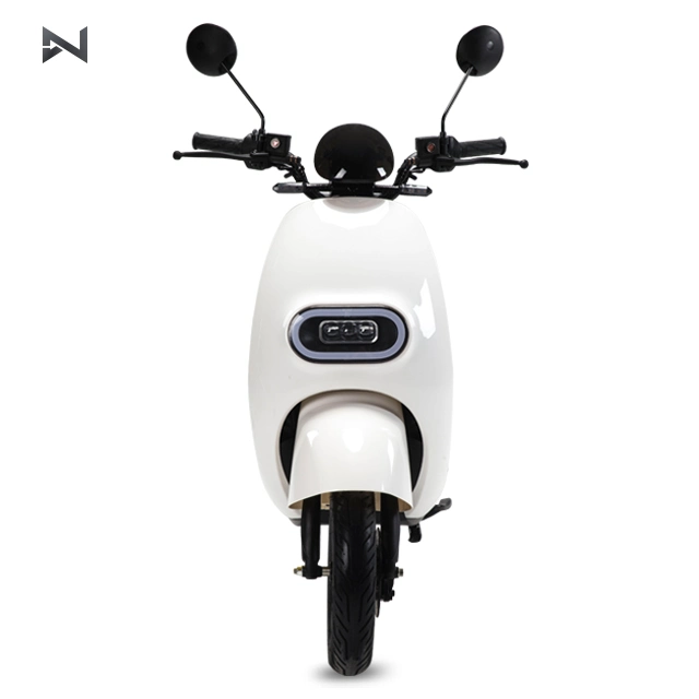 2 Wheel Adult Electric Motorcycle