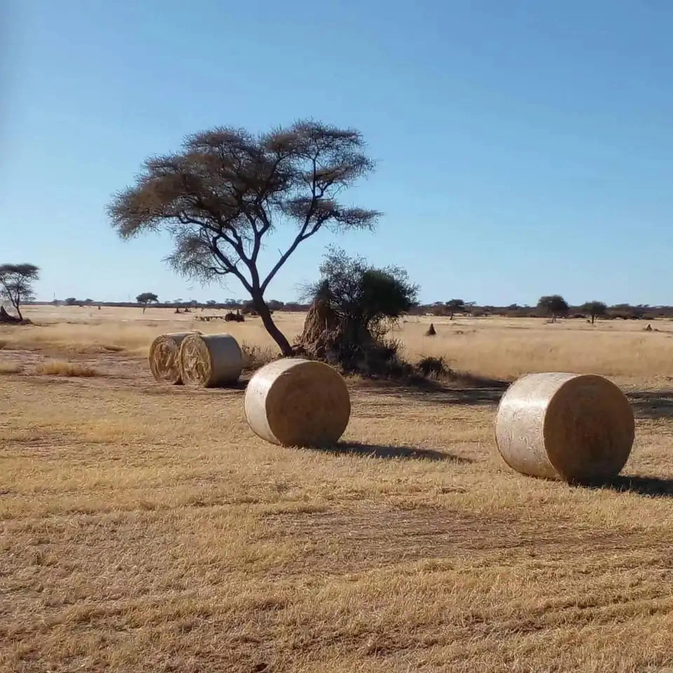 Plástico PE Agricultura biodegradável Silage Bale Wrap Net com fábrica Preços