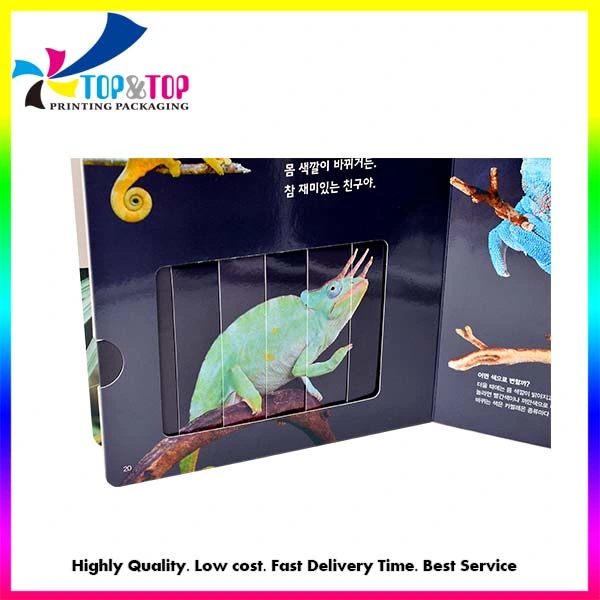 Factory Custom Children Cardboard Chameleon Animal Natural Science Book Magic Book Printing Service