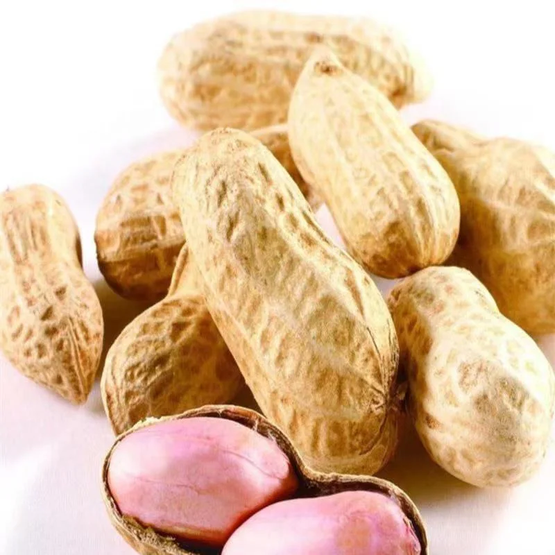 China Washed Peanut in Shell Cheap Price Size 9/11 11/13hot Sale Good Quality