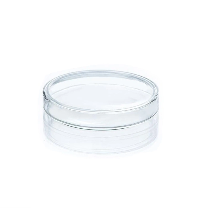 New Arrival Economical Transparent Disposable Petri Dish