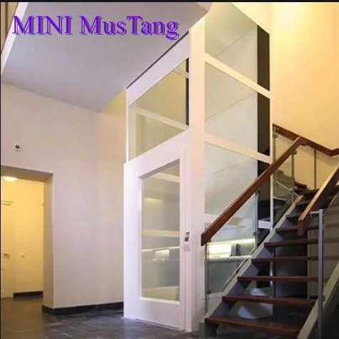 Best Selling FUJI Brand Price for New Style Square Home Lift Cabin Residential Construction Passenger Home-Use Elevator