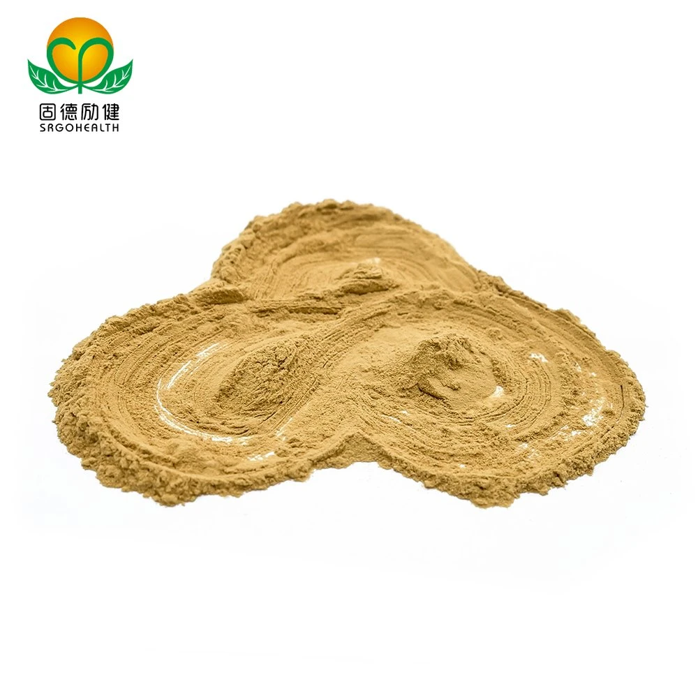 OEM GMP Amazon Hot Selling Lower Price Hericium Erinaceus Extract Powder