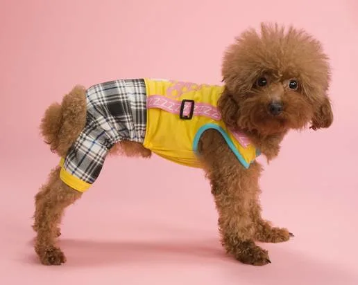 High Quality Designer Simply Comfortable Cotton Dog Pet Clothes