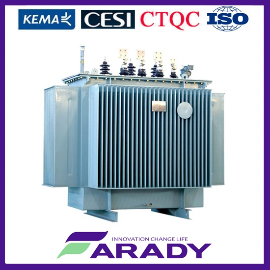 Isolation 3 Phase Oil Immersed Step Down Transformer 800kVA