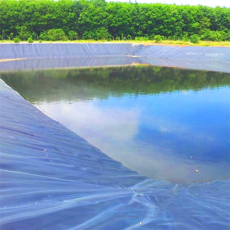 Anti-Seepage of Refinery Plant, Petrol Station, Inner Liner of HDPE Geomembrane in Mining and Chemistry