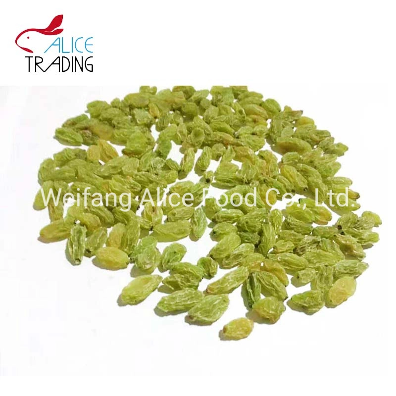 Xinjiang Raisins Green Raisins Long Shape and Big Size Dry Grapes