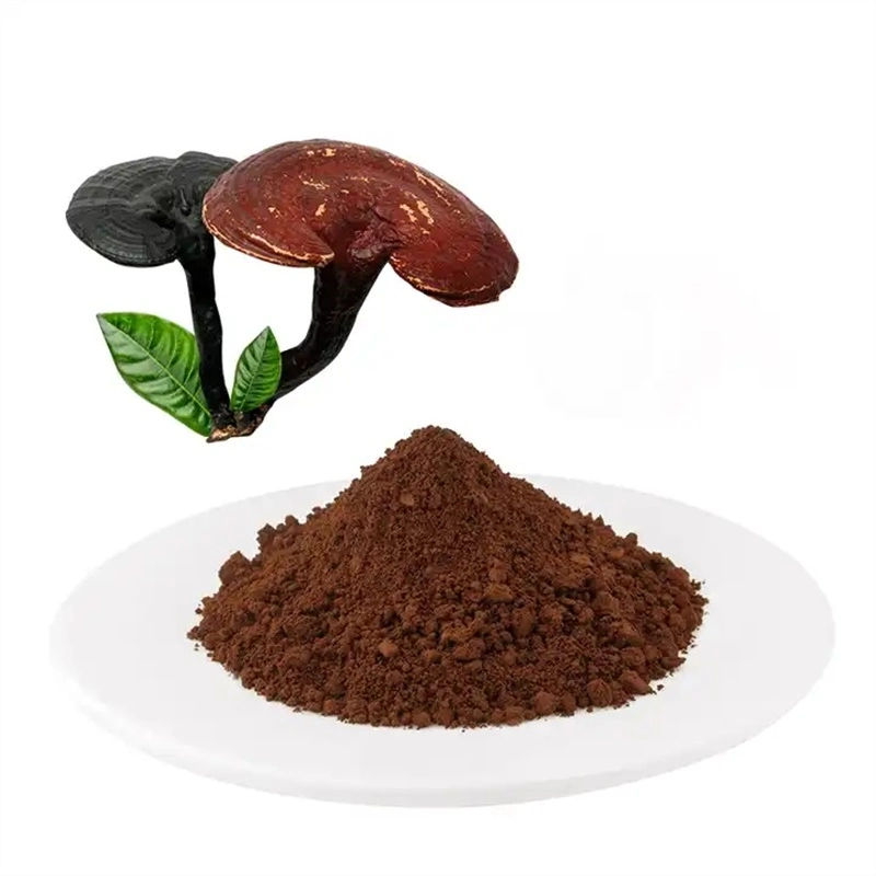 100% Pure Organic Powder Ganoderma Lucidum Granularity 40-80 Mesh Mushroom Extract Powder