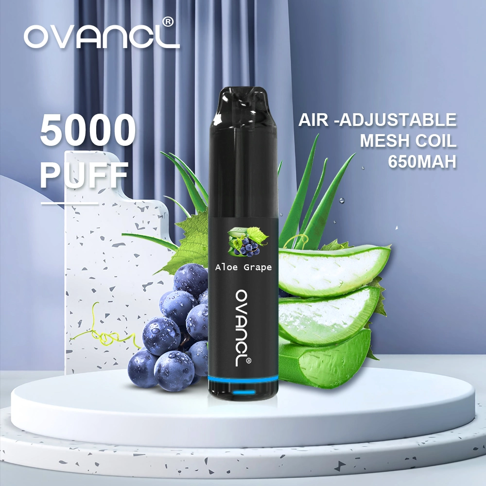 Оригинальная конструкция Ovancl E к прикуривателю 5000 Puffs Vape аккумулятор испаритель воздуха регулируется одноразовые E Vape Ciga бесплатный стартовый набор перьев