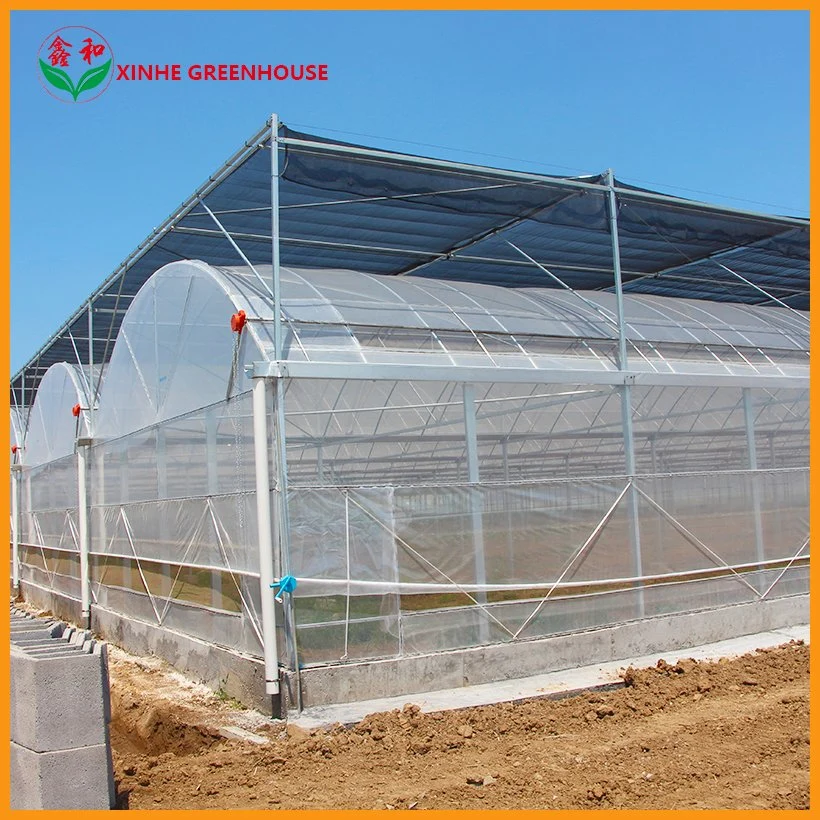 Tunnel Multi Span Garden Warm Agro Greenhouse