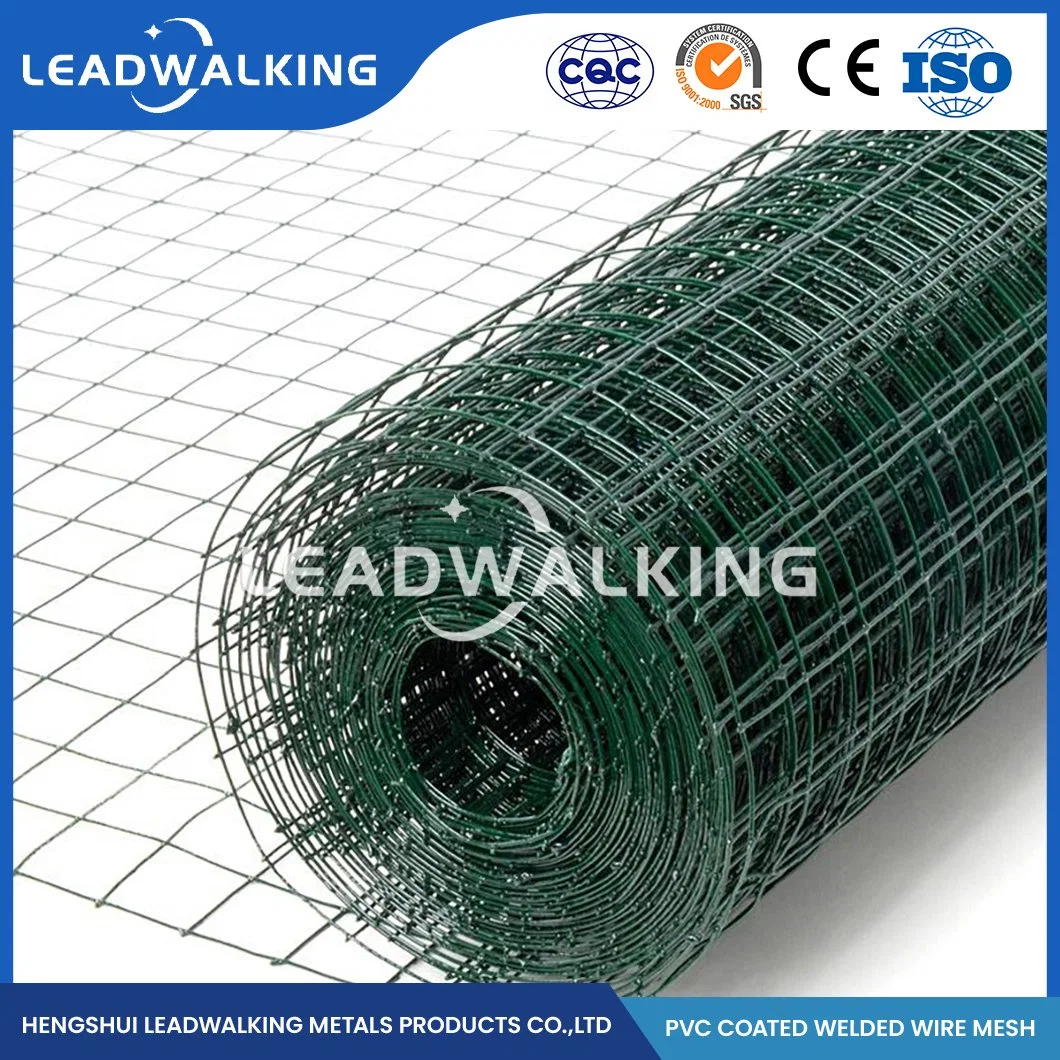 Leadwalking Galvanized Welded Wire Mesh Panel Factory Ss Steel Plastic Coated Welded Mesh China Welded Wire Mesh with Green PVC Coating for Plant Support