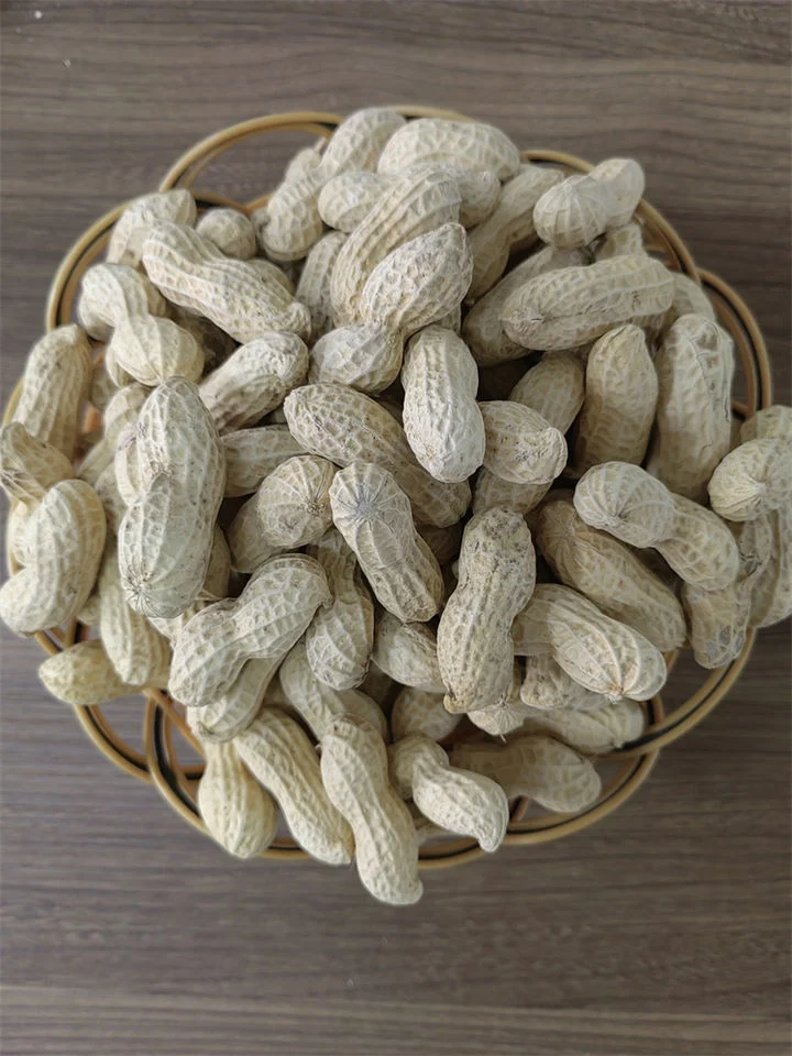 Best Quality New Crop Groundnut in Shell Peanut