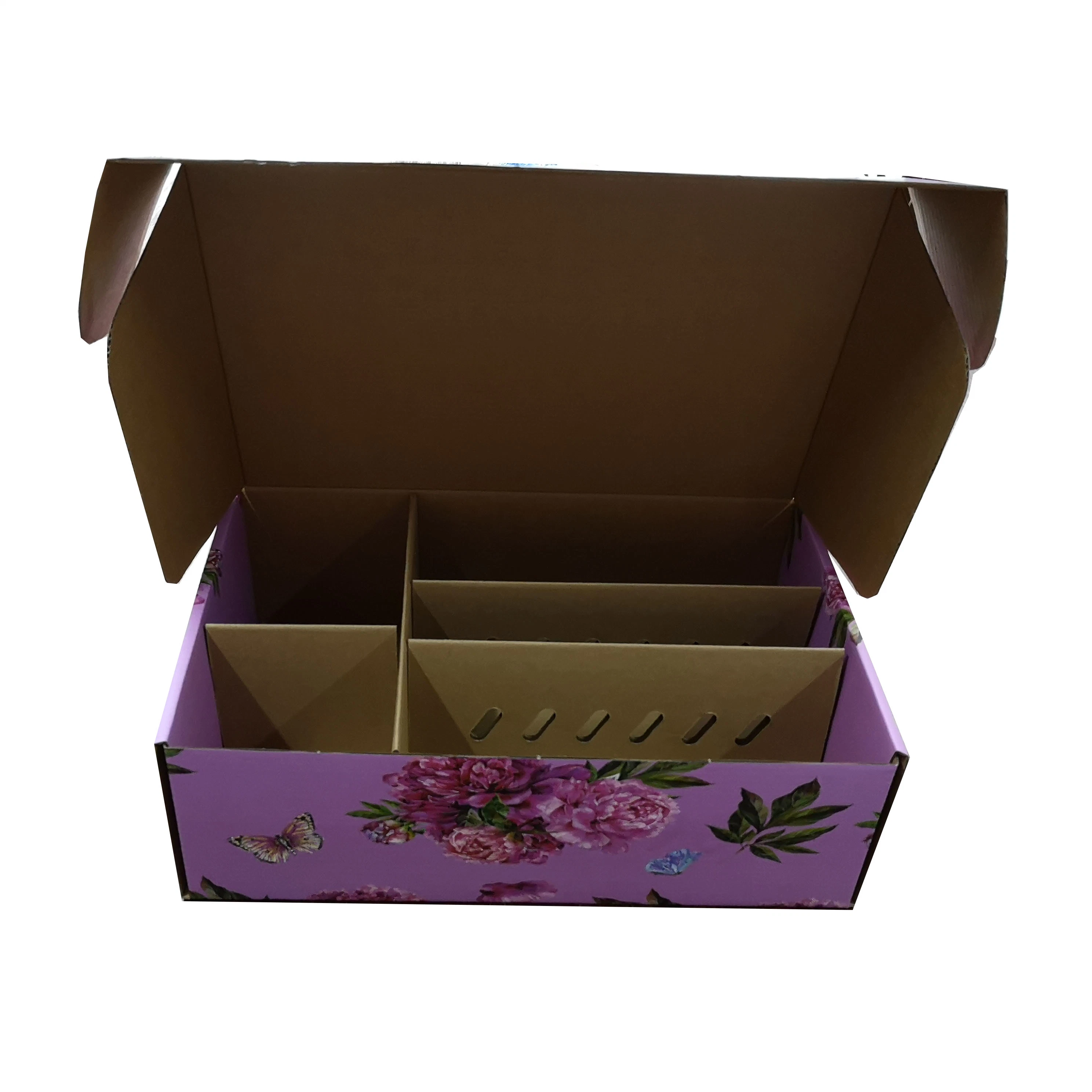 Cartón de alta calidad profesional de la fruta seca caja de cartón de embalaje