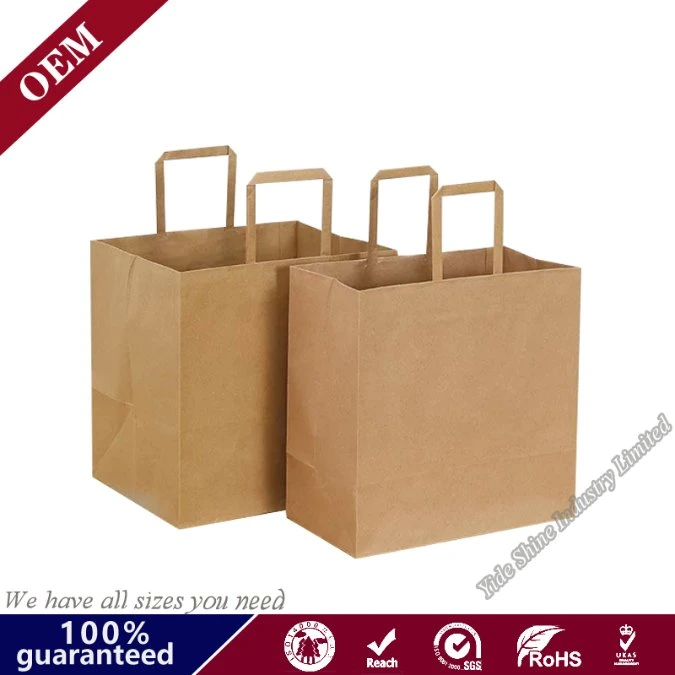 White Brown Kraft Paper Carrier Bag Accepted Custom Size Logo Printing with Flat Twisted Inside Handles