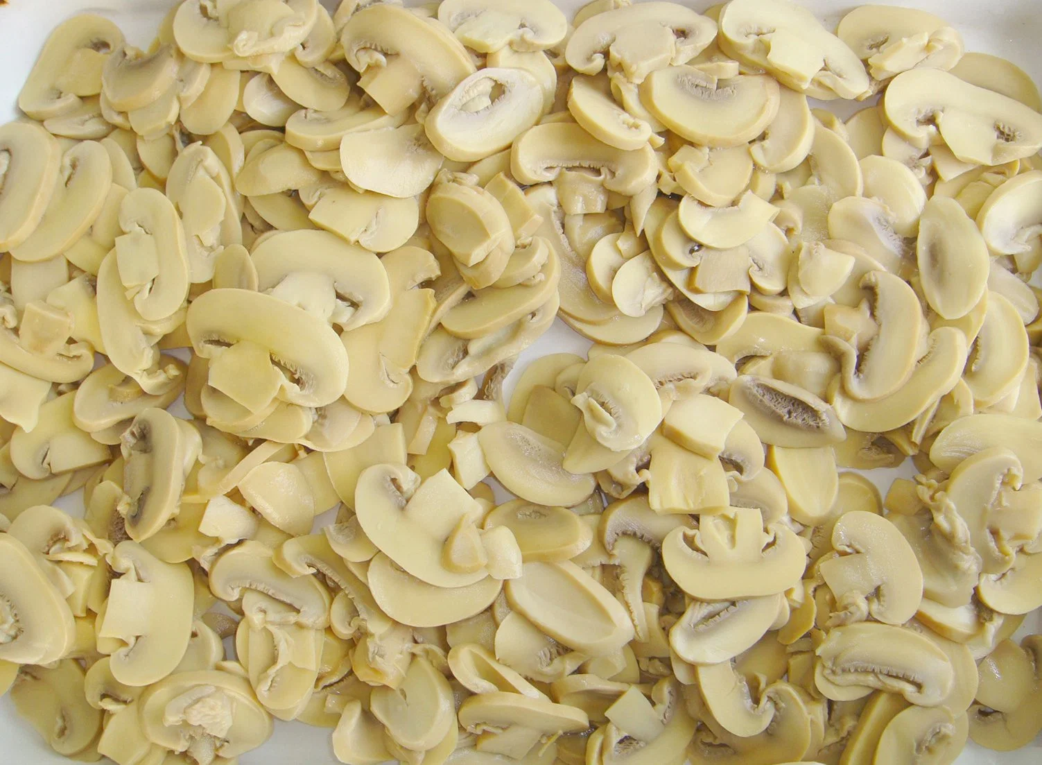 Best Quality Canned Mushroom Slices with Private Label