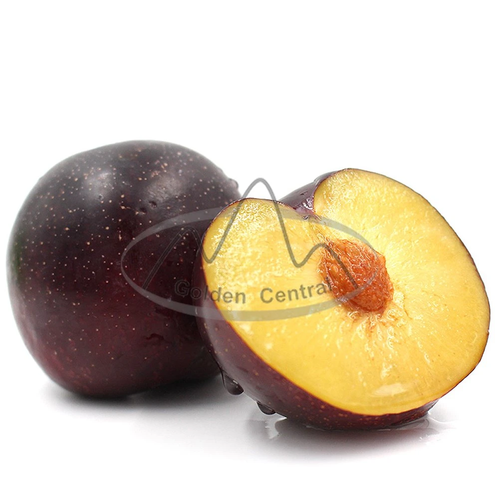 New Harvest Chinese Fresh Plum Plums Fresh Fruits Black Brin Black President Lowest Whole Sale Price