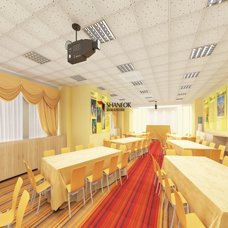 Shaneok Mineral Wool Board Ceiling Office Building Material