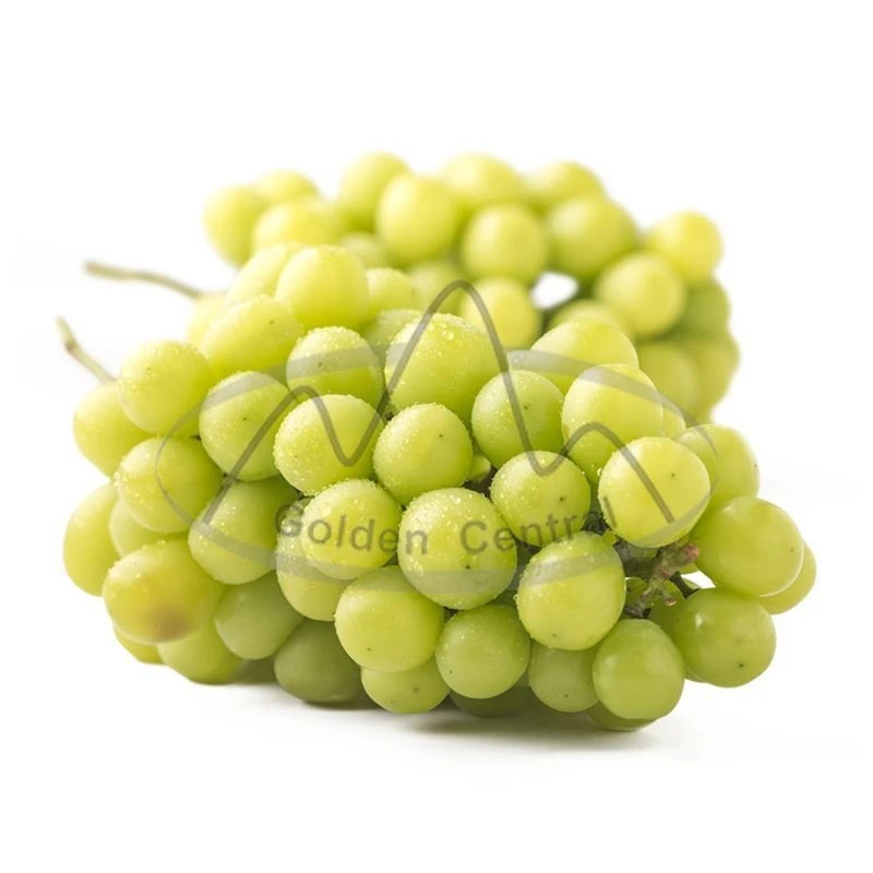 Top Quality Premium Sweet Green Grapes