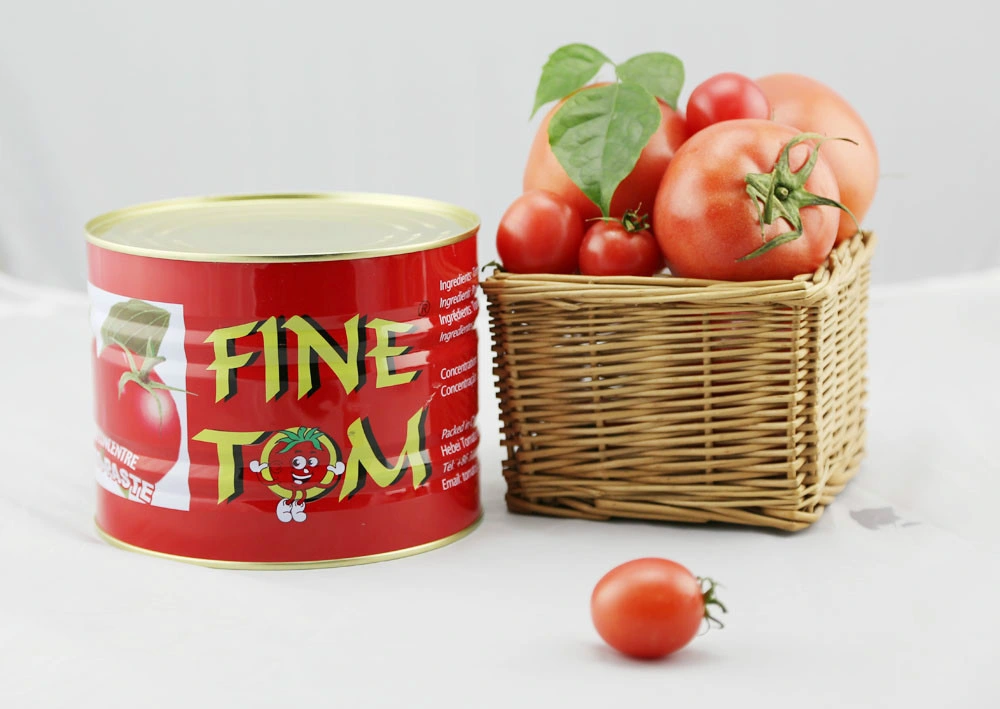 Estaño La pasta de tomate del 28 al 30% precio de fábrica en Brix 2200g