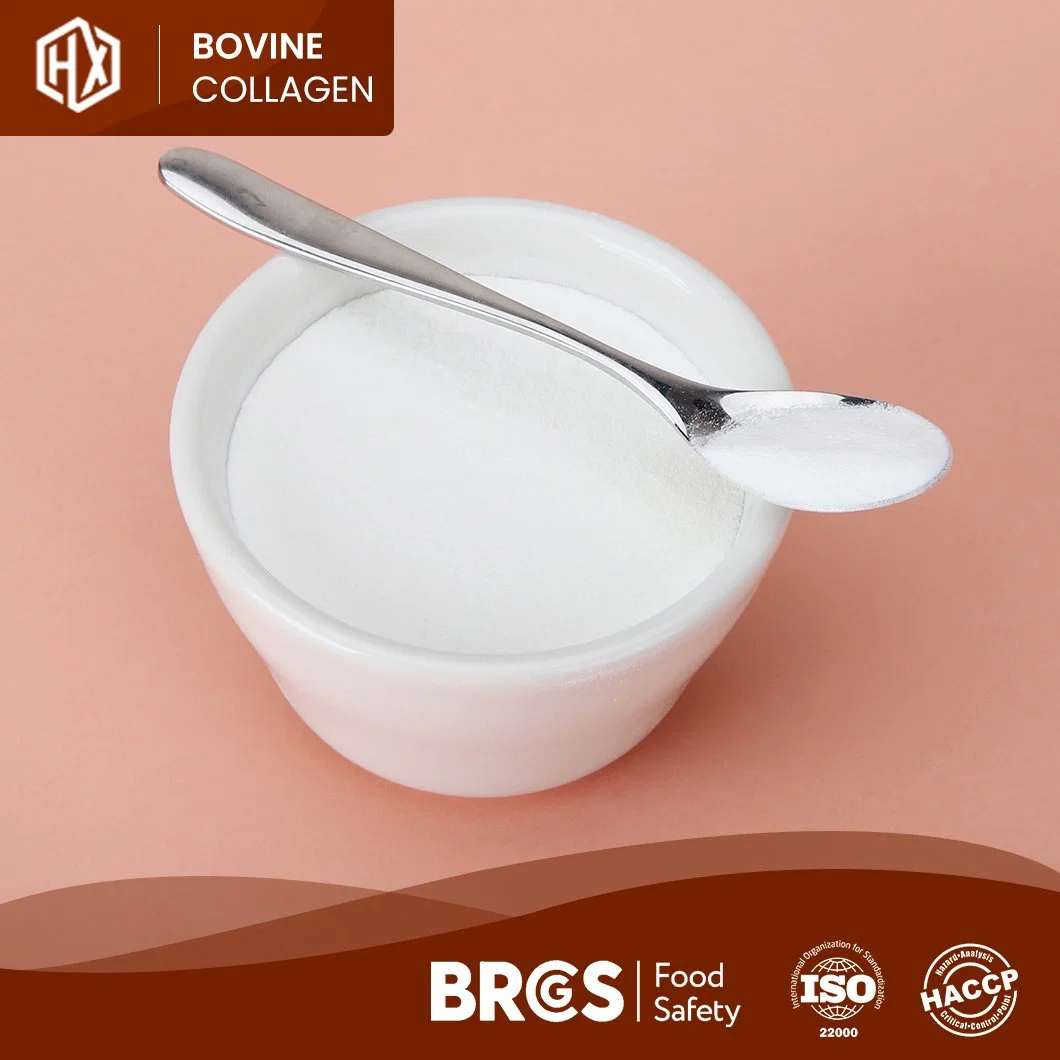 Haoxiang Bovine Bone Collagen Peptides OEM Customized Hydrolyzed Molecular Peptide Collagen Peptide Powder China Manufacturers One-Stop Service Collagen Powder