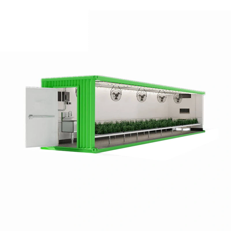 Hydrofonic System Gewächshäuser Container Farm Medizinische Pflanzen für den Anbau