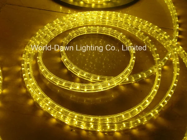 110V 220V LED Flexible Flat and Round DIP Rope Light for Multi Color