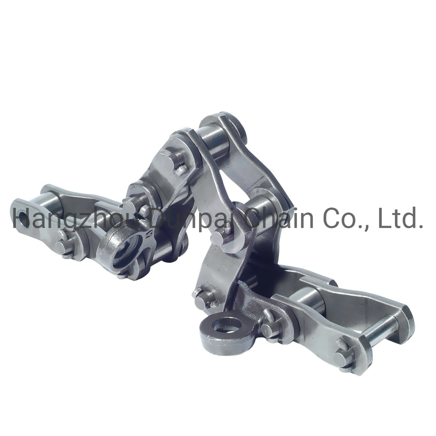 Transmission Industrial Conveyor Chain Roller Chain /Hollow Chain/Stainless Steel Pintle Chain/Motorcycle/Agricultural Chain