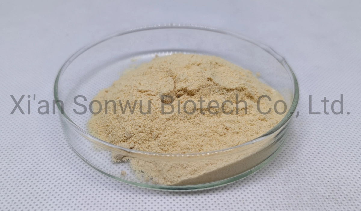 Sonwu Supply Plant Extract Powder Gingerol