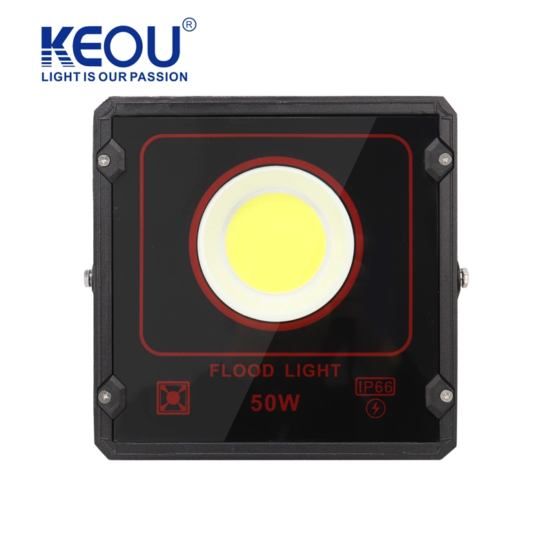 IP66 Outdoor Floodlight 50W Aluminum Windproof Lightning Protection Anti-Riot Flood Light