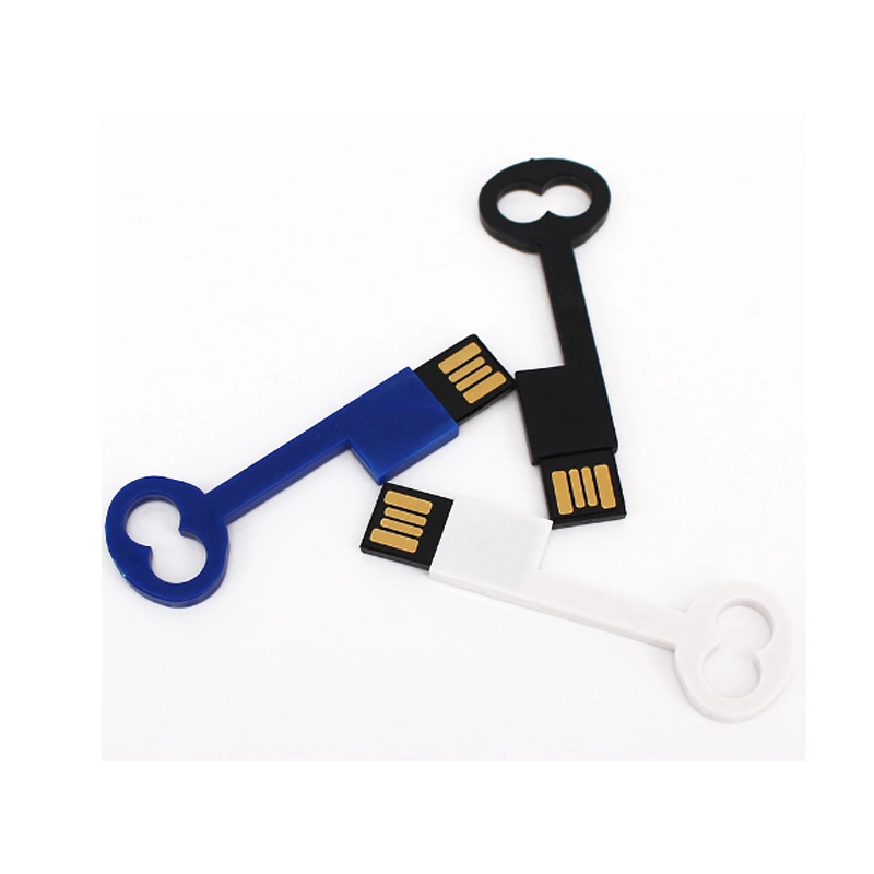 Plastic Key Shape USB Flash Drive Multi Color Hang USB Pen Drive