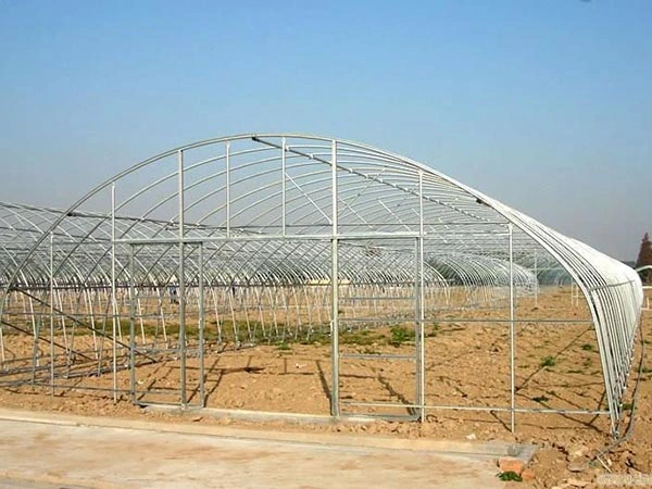 Low Tunnel Greenhouse 8m*10m Strawberry Tunnel Cheap Greenhouse Supplies