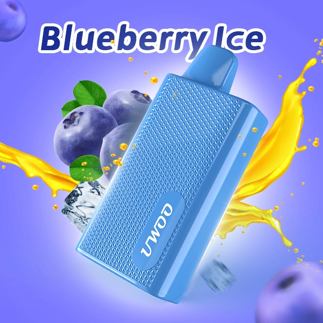 E-Zigarette Oed / ODM Randm Blueberry Geschmack Stift Stil Großhandel/Lieferant i Vape