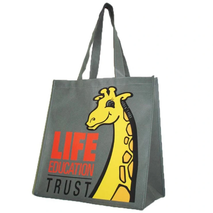 Stand up Custom Printed Loop Handle Non-Woven Bags (FLN-9005)