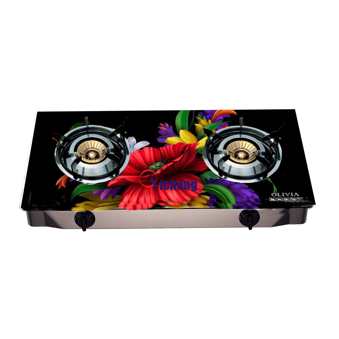 2 Burner Gas Cooker for Electric Gas Stove with Tempered Glass