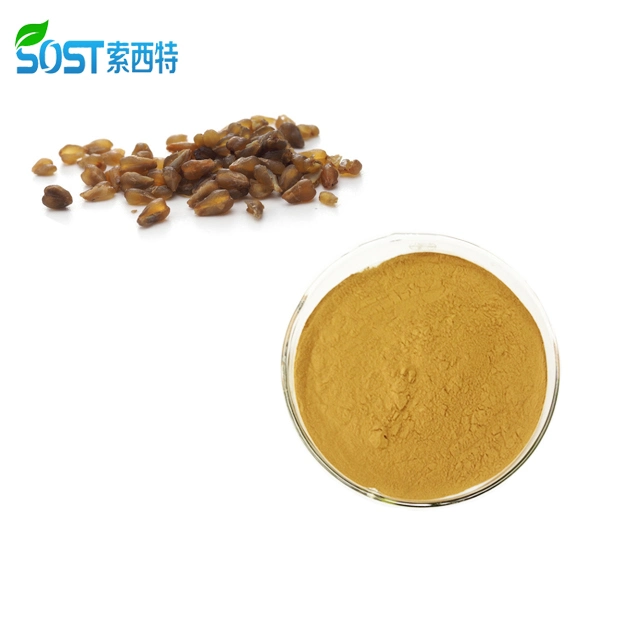 High quality natural buckwheat extract