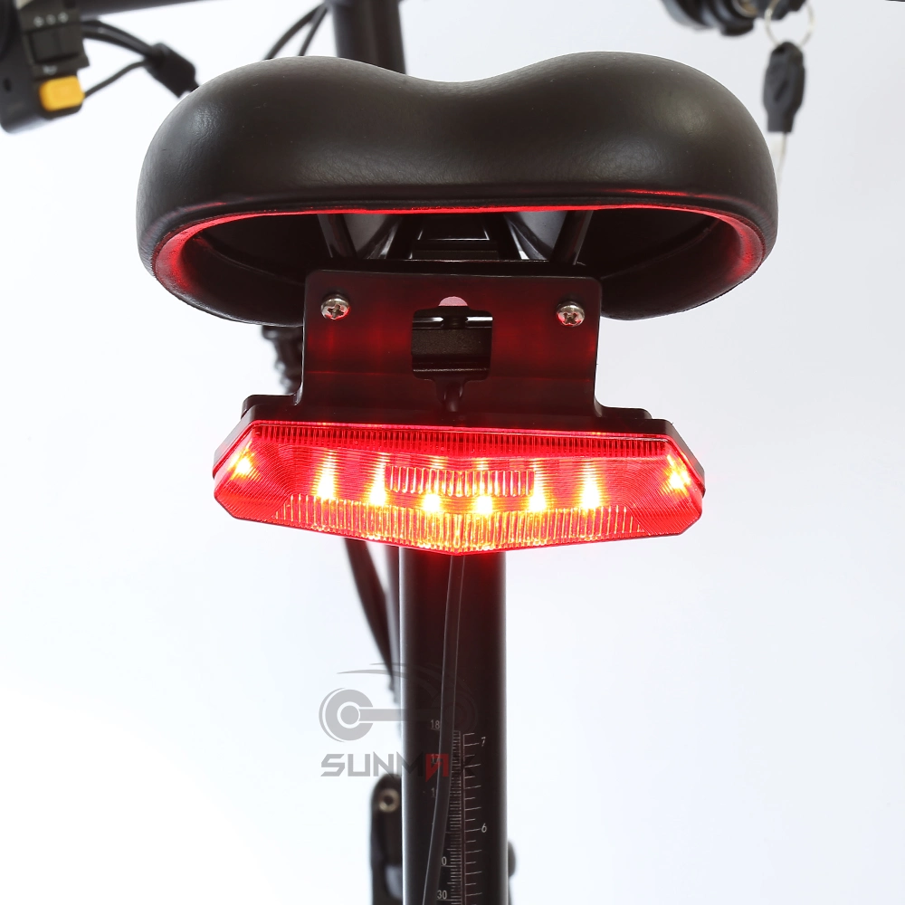 Vélo électrique Vente chaude Ebike vélo électrique pour la Chine usine