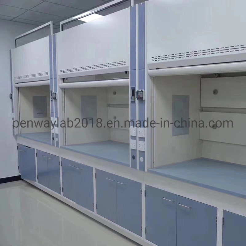 Full Steel Painted Anti-Corrosion School Laboratory Equipment