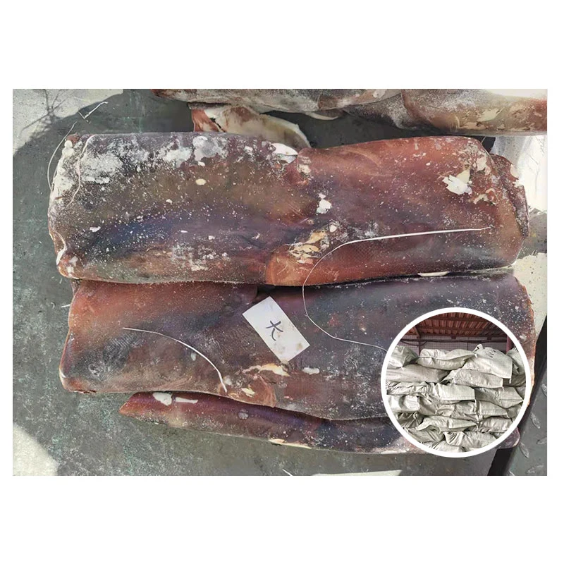 Good Quality Seafood Sea Frozen Giant Squid Tube 2-4kg for Vietnam