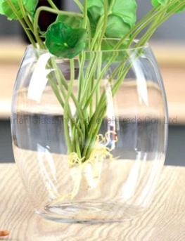 Hydroponic Plant Glass Bottle Transparent Glass Vase Container Green Pineapple Flowerpot Spherical Fish Tank