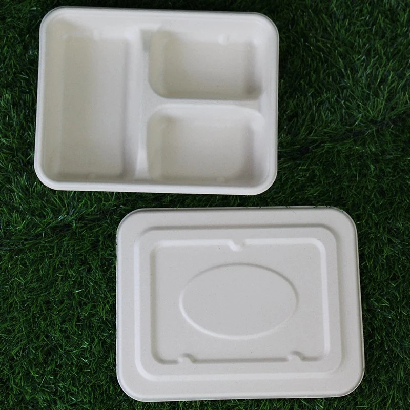 Watsonpak Environmental Protection Microwave Co Sugarcane Bagasse Bamboo Pulp Disposable Food Service Pulp Paper Compartment Biodegradable Tray with Lid