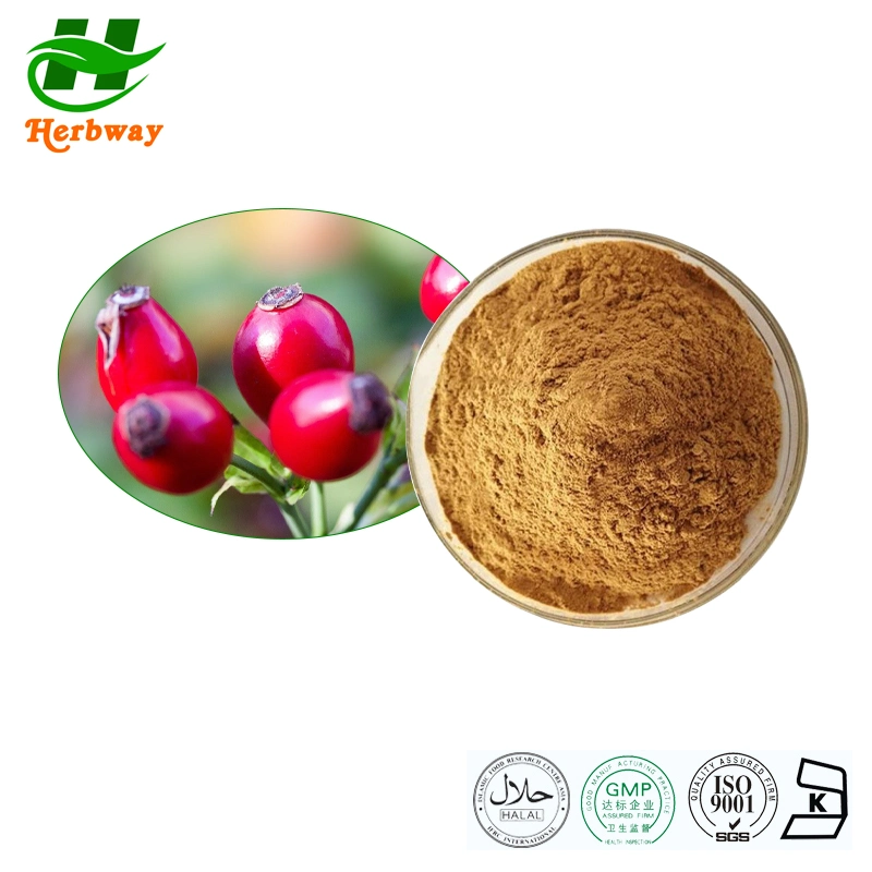 Herbway Extracto Natural de plantas Rosehips Extracto de fruta Vitamina C farmacéutica Reducir el cáncer de mama