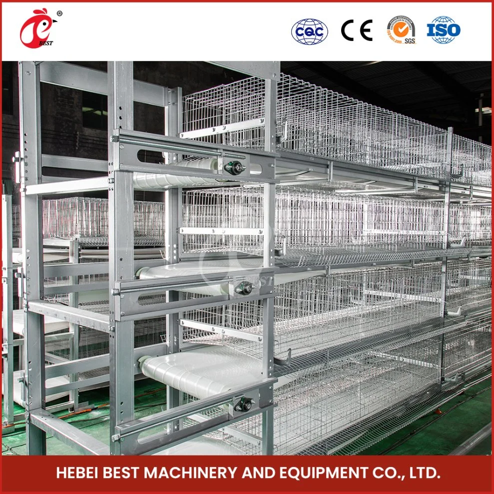 Bestchickencage H Type Small Pullet Cage China Cubby House Chicken Coop Factory High-Quality Flexible Manufacturing Design Underground Pullet Hen Chicken Coop