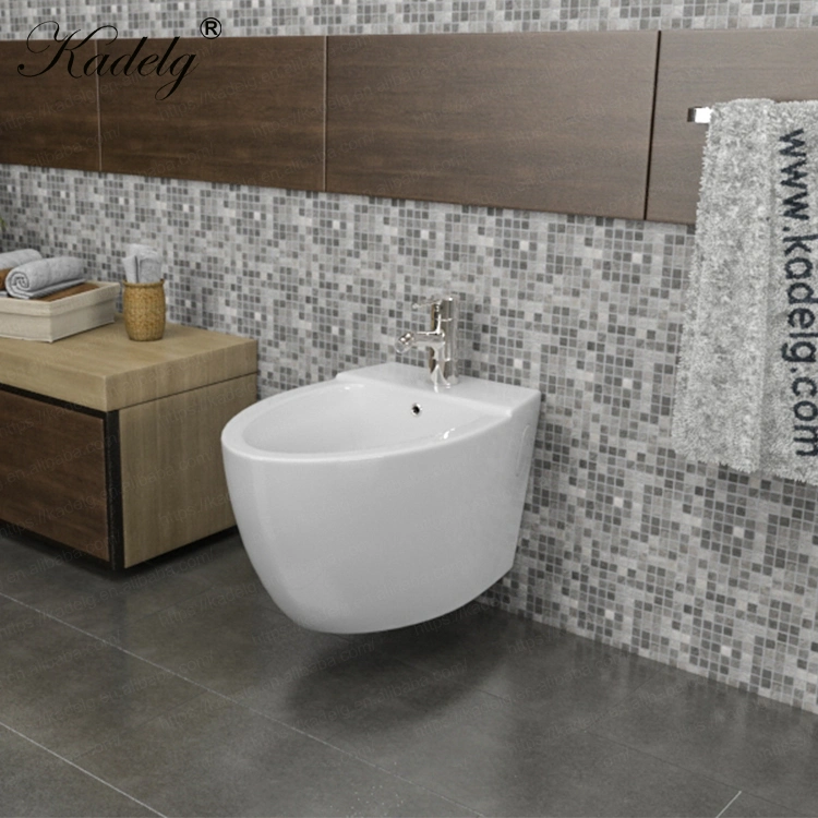 Italian Design Wall Hung Toilet with Bidet Bathroom Toilet