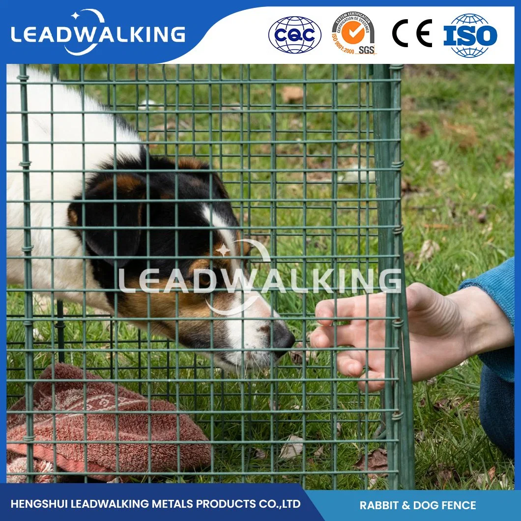 Portátil Leadwalking valla PERRO PERRO galvanizado al por mayor de fabricación de la perrera de la jaula de alta calidad Wear-Resistant China valla valla perro