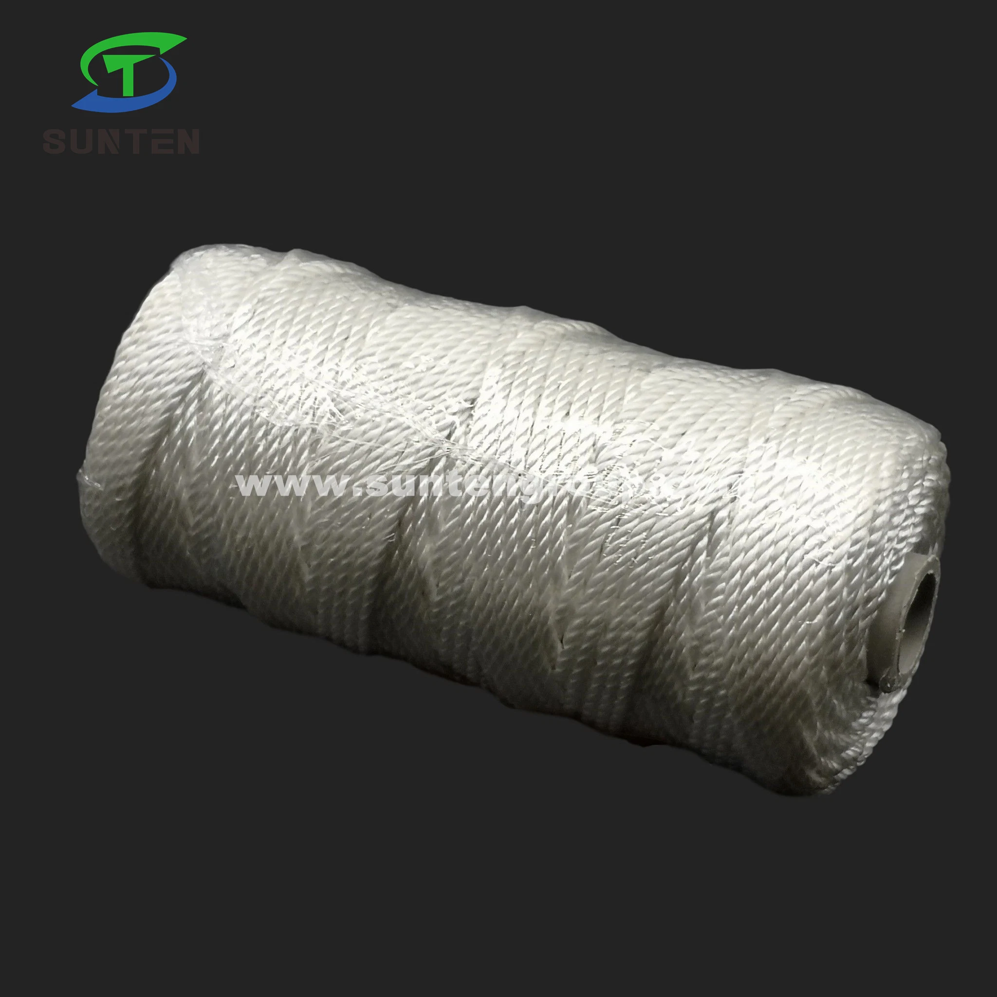 prix d'usine blanc à haute ténacité PE/PP/polyester/nylon/plastique polypropylène tressé Twisted//presse à balles/emballage de thread/Ligne/filet de pêche Thread (210D/380D)