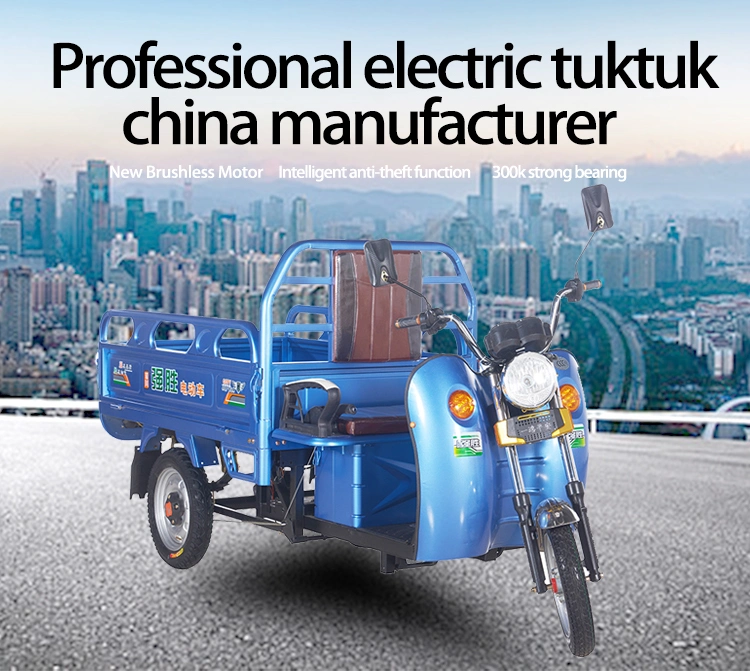 China Wholeware Three Wheeled Motorcycle Open Cargo Loader Electric Cargo Tricycle Auto Rickshaw Passenger Wheel Motorcycle