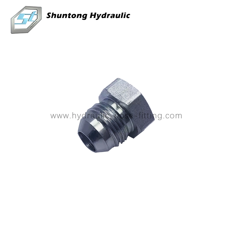 Hose Nipple, Hydraulic Bsp Male Captive Seal Hollow Hex Plug, Hose Fitting