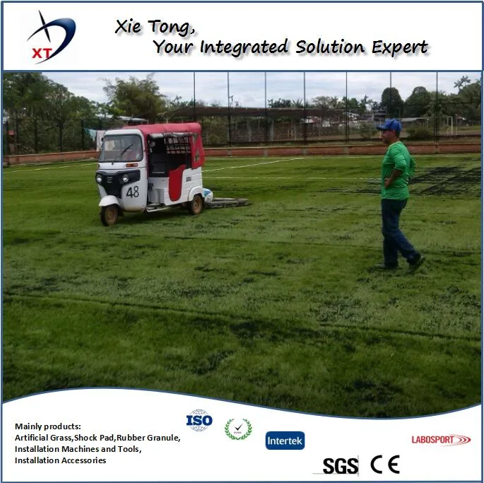 Eco-Friendly PU Latex Backing Synthetic Turf Grass for Football/Soccer Field