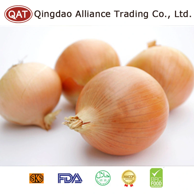 China New Crop Fresh Yellow Onion Peeled Yellow/White Onion with Good Price